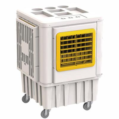 China Indoor / Outdoor Evaporative water cooler units evaporative air cooler saudi arabia evaporative cooler 9000m3/h in singapore for sale