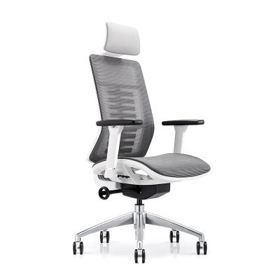 China Boss Ergonomic Adjustable Chair Office Chair Mesh Chair (Size) New Style Adjustable Height for sale