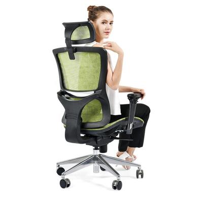 China (Size)Adjustable Professional Design Office Chairs Mesh Ergonomic Chair With Back Headrest for sale