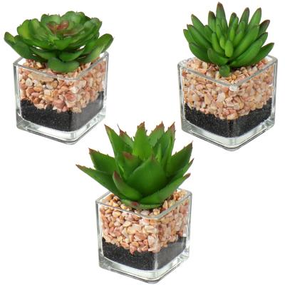 China Rustic Home Decoration Plants Small Artificial Succulents Plants 6Cm*6Cm Glass Pot Artificial Succulent Plants for sale