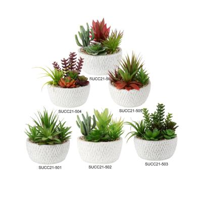 China Custom Made Artificial Succulent Pot Cement Plants Mini Succulent Plant With White Modern Plant Cacti for sale