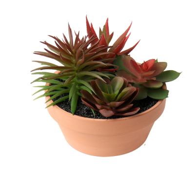 China Wholesale Small Plant Rustic Cheap Pot Manufacturer OEM Artificial Succulent Potted Succulent Plants for sale