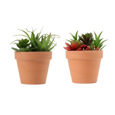 China OEM Manufacturer Wholesale Small Rustic Terrecota Planter Artificial Succulent Potted Succulent Plants for sale