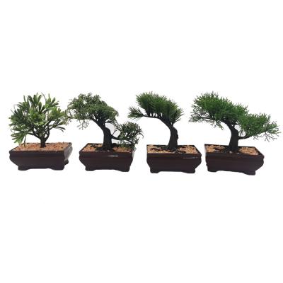 China Mini Artificial Tree Plants Bonsai Tree Office Ministry Of Interior Modern Height Decoration In Mini Rectangle Pot for sale