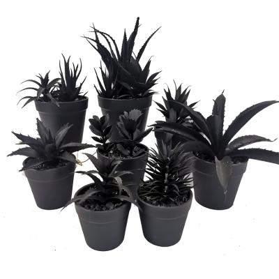 China Traditional Artificial Black Plants Home Decoration Black Faux Succulents Plants To Mini Black Pot Artificial Black Aloe Plants for sale