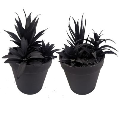 China Traditional Mini Potted Artificial Black Succulent Black Aloe Plant Faux Succulents Plants For Home Decoration for sale