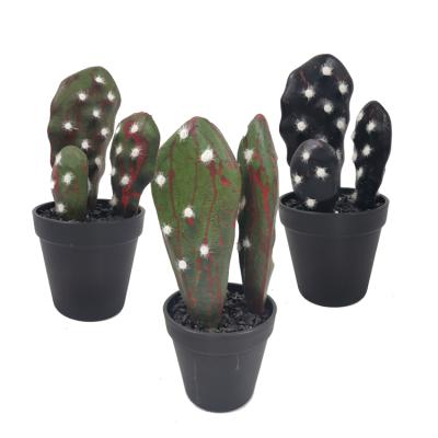 China Different Kinds of Black Faux Plant Traditional Artificial Black Succulents Plants Faux Cactus Plants in Black Pots for sale