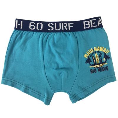 China New Design Antibacterial Children's Underwear Boys Model Kids for sale