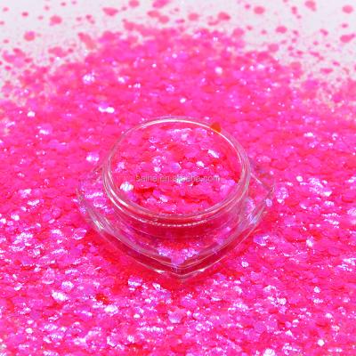 China PET Wholesale Supply 1000 Voluminous Glitter Makeup Volume Mixes Chunky Glitter For Crafts Nail Makeup for sale