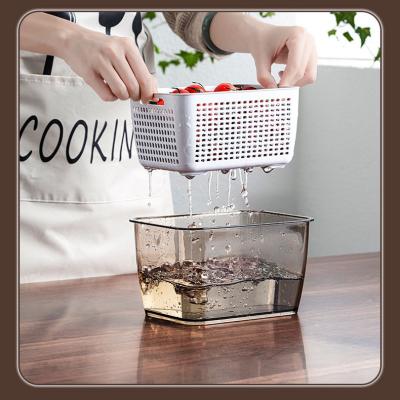 China Multifunctional plastic refrigerator pet storage container drain clear fresh-keeping cool-keeping removeable set for sale