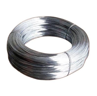 China Building Material Galvanized Iron Wire Binding Wire Binding Wire (18# 1.2mm) for sale