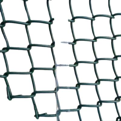 China Easily Assembled High Quality Chain Link Fence Extension In China Factory for sale