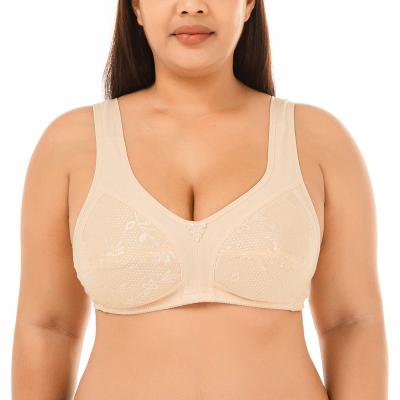 China Comfortable Plus Size Gathering Bra Lovely Soft Classic Sexy Anime Comfortable QUICK DRY Health Cute Underwear For Women Ladies for sale