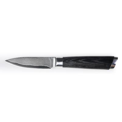 China Disposable High Grade Durable 3.5inch 67 Layers Damascus Stainless Steel Fruit Paring Knife With Micarta Handle for sale