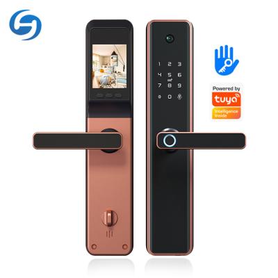 China Tuya Huiyou M1-F Zigbee Office/Home Zigbee Password Card Digital Fingerprint Apartment/Door Built by ttlock Smart Door Lock in camera for sale