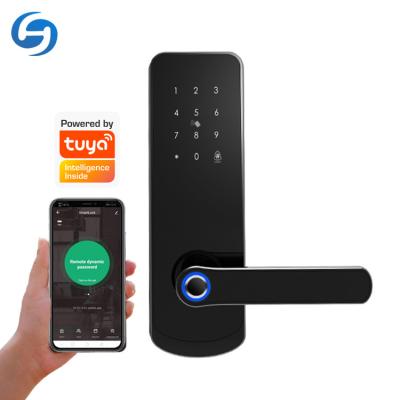 China Wifi Huiyou Wireless Keyless Remote Access Control Fingerprint Smart Home Security Device Product Entry Lock for sale