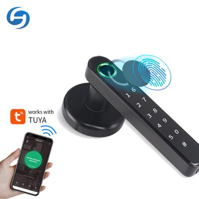 China Hot Selling Huiyou 196 Shenzhen Amazon Office/Home Code Huiyou 196 Digital Fingerprint Door Knob Apartment/Digital Lock for sale