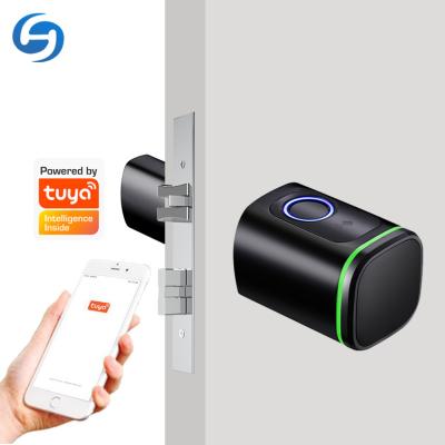 China Huiyou S1 Office/Home App Electric Indoor Control Smart Apartment/Mortise Fingerprint Tuya Door Knob Lock for sale