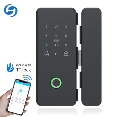 China Access Control High Quality Commercial Glass Fingerprint APP Home/Office Huiyou G200 Apartment/Door Tuya Smart Door Lock for sale