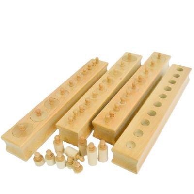 China Child Advance Montessori Cylinder Blocks Eco - Friendly Montessori Early Preschool Toys For Toddlers zu verkaufen