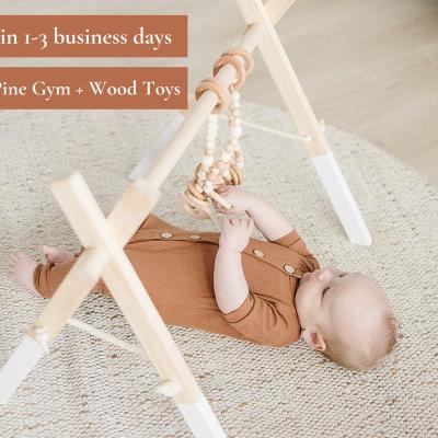 China Wooden Playground Montessori Baby Activity Gym and Baby Gift Nature Climbing Wooden Toys For Kids zu verkaufen