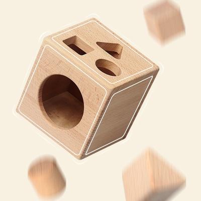 China Montessori Eco-Friendly Wooden Toys Shape Sorter Wooden Cube Stacking Matching Game Gifts For Toddlers Kids Children for sale