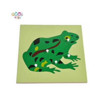 China Montessori Materials Montessori Wooden Frog Puzzle Toys for Kids Study Biology Montessori Materials Teaching Resources zu verkaufen