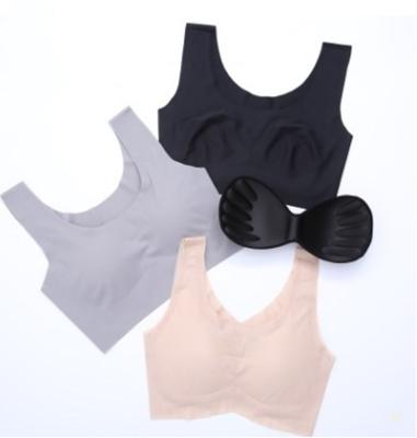 China Women QUICK DRY Comfortable Breathable Seamless Fabric Sports Yoga Flexible Sleep Bra for sale