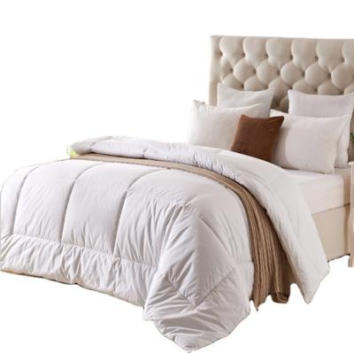 China Summer Soft Quilt Comforter Luxury Hotel Down Comforter/Duvet/Comforter For Sale for sale