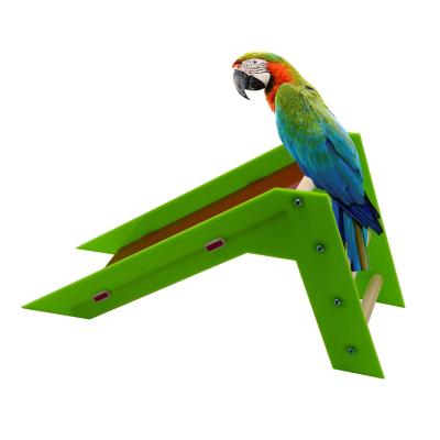 China Amazon Hot Selling Viable Parrot Supplies Bird Toys Training Toys Puzzle Toy Skills Training Parrot Slide Climb Interactive Slide for sale