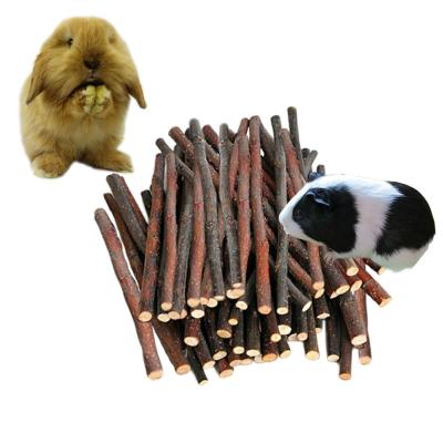 China 500g Guinea Pig Squirrel Chinchillas Rabbit Snack Pet Molars Apple Branch Parrot Molars Viable Fruit Fruit Amazon for sale