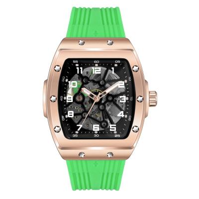 China Water Resistant Luxury Mens Custom Logo Automatic Skeleton Mechanical Watch For Men for sale