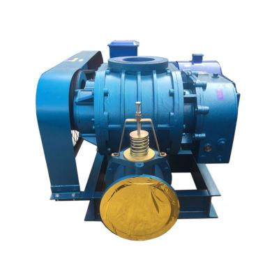 China Hot Selling Root Blower High Flow Industrial Equipments Single Phase Roots Fan Decided By Model for sale