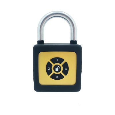 China Smart Safty Lock Password Padlock Waterproof Wifi Door Smart Padlock Locks For Bike Gym Office Cabinet Backpack 60mm 60mm 25mm (LXWXH) for sale