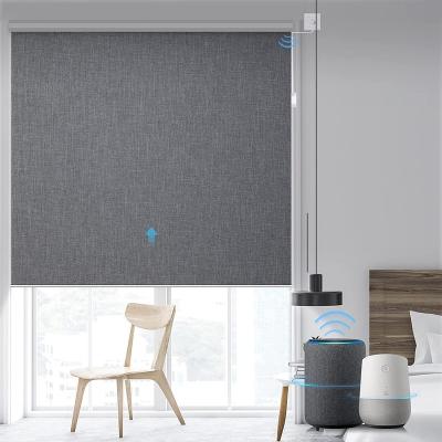 China 2022 Years Easy Clean Popular Motorized Roller Shade for sale