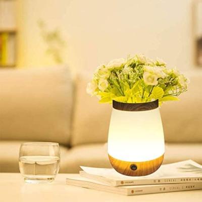 China Modern LED Vase Light Atmosphere Night Lamp for sale