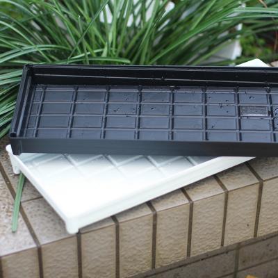 China Modern Mesh Hot Sale Drain and Shop Water Succulent Nursery Seeding Flat Trays for Cactus Succulent Collector for sale