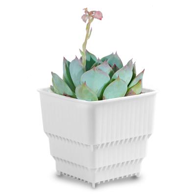 China Succulents 4 inch square flower pot modern small for cactus cattle ya plant pot small for living room patio garden for sale