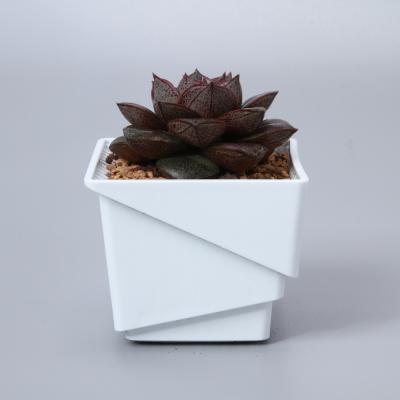 China Garden Modern Plastic Root Container Planter Pot Succulents Patent Technology Patent Technology Diameter 7cm Inner Pot for sale