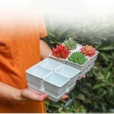 China Eco - Friendly High Quality Succulent Pots White / Black 4 Square With 1 Tray Plastic Garden Pot for sale