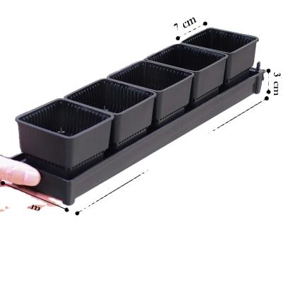 China Modern Meshpot 2.8 Inch Plastic Square Succulent Pot With Tray Set Cactus Pot With Holes for sale