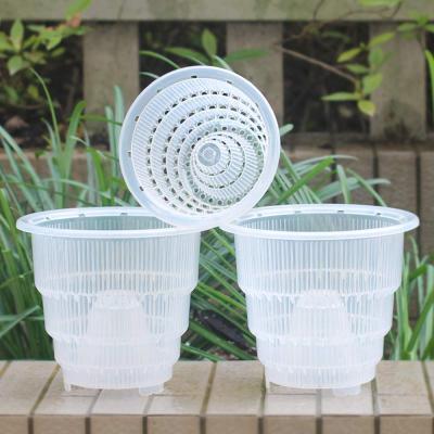 China 10cm no air column 12cm and 15cm no air column clear plastic plant flower pot orchid pot with holes for sale