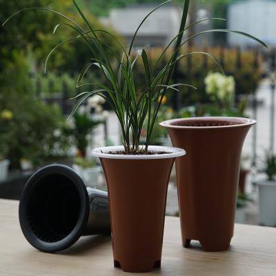 China Modern High Quality Orchid Pot Flower Meshpot Double Wall With Air Ventilation Hole for sale