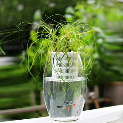 China Modern Net Plant Cups Notched Mesh Wide Lip Plant Pot Bucket Basket For Hydroponic Planter Pot for sale