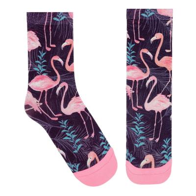 China Design Athletic Sports Men Print Embroidered Sublimated Women's Cotton Athletic Customize Basketball Custom Made Logo Socks for sale