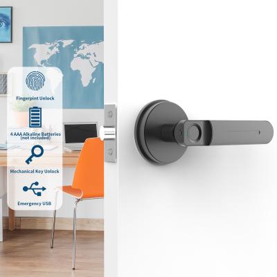 China D01 Smart Keyless Entry Door Lock mit Griff, Fingerabdruck Türschloss für Zimmer/Büro/Aparatment zu verkaufen