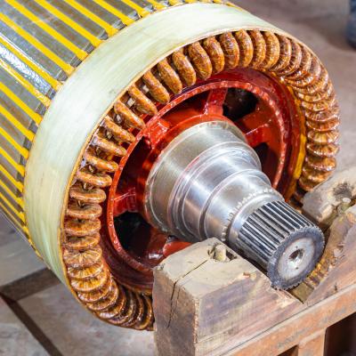 China 380V 415V Low Voltage Induction Motor 100HP Electric Engine Motor IP55 for sale