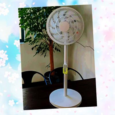 China NO App-Controlled Plastic Pedestal Fan The Game-Changer for Air Circulation Needs for sale