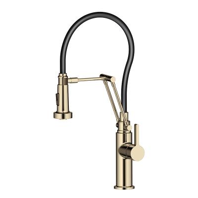 중국 American Style Gold Modern Solid Brass Pressurized Pressure Sprayer Brass Pull Out Kitchen Mixer Tap 판매용