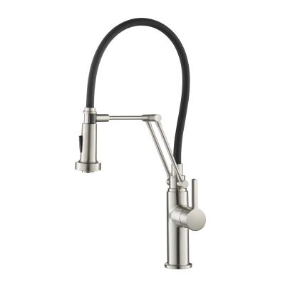 China Modern Luxury Sanitary Ware Long Neck Flexible Brushed Nickel Kitchen Sink Faucets With Pull Down Sprayer zu verkaufen